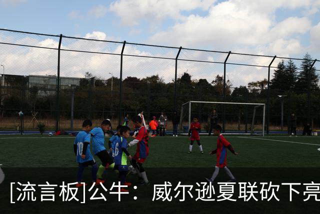 [流言板]公牛：威尔逊夏联砍下亮眼数据，只是开始